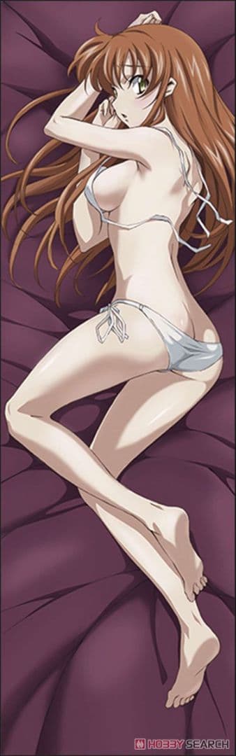 【正規品・新品未開封】コードギアス 抱き枕カバー シャーリー