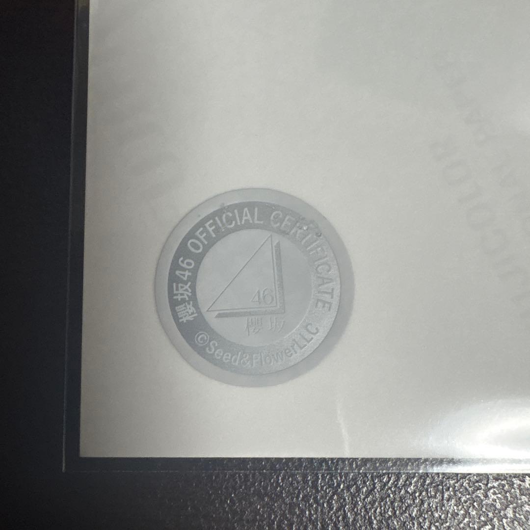 森田ひかる 櫻坂46 2025年 サンタ 生写真 直筆 サイン