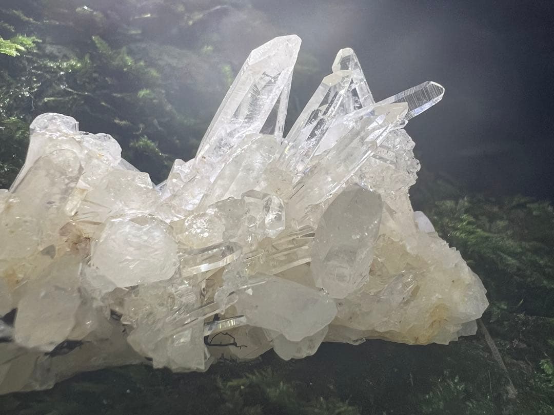 龍脈の精髄 ―宮崎産 水晶クラスター 「聖域を生む調和の結晶」【保護猫