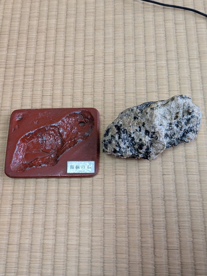 南極の石 コレクション用