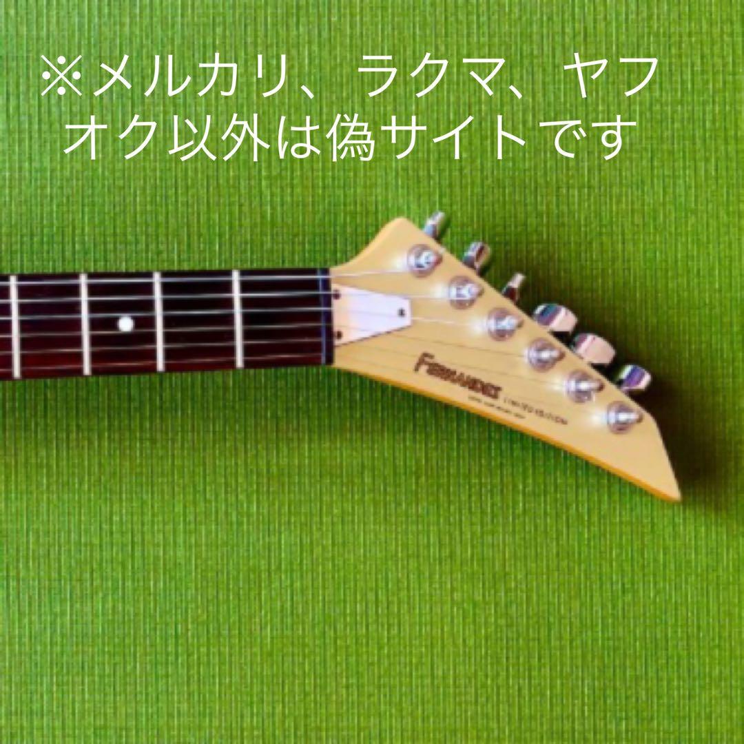 【レア】Fernandes TEJタイプ HS