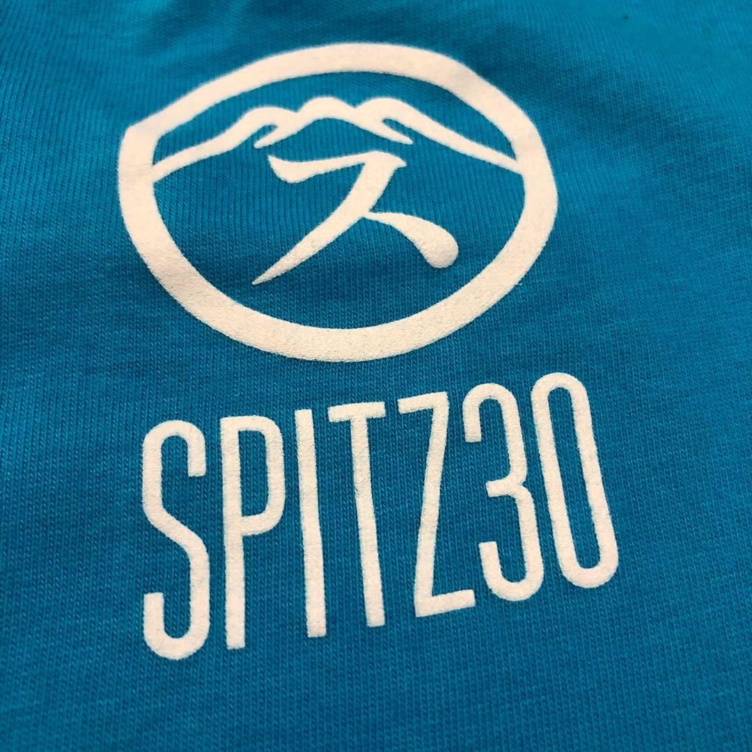 スピッツ 30周年 Tシャツ インディゴ地平線 古着