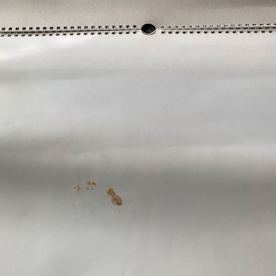 ジャニーズ　SMAP カレンダー　パンフレット　会報誌　グッズ　まとめ売り