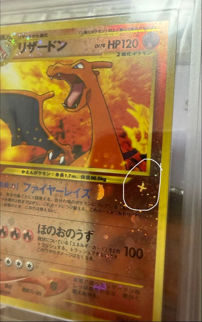 リザードン ARS10 neo プレミアムファイル 鑑定書付き