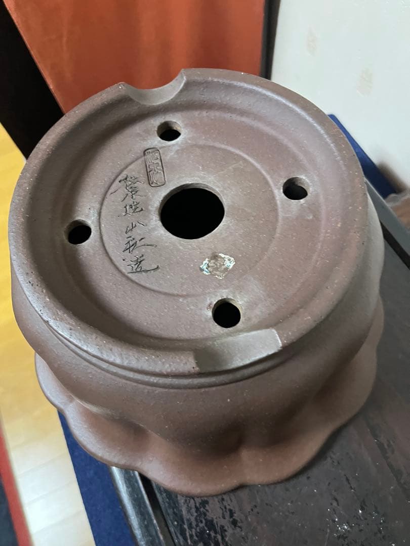 481 盆栽　盆栽鉢　植木鉢　和鉢　山秋