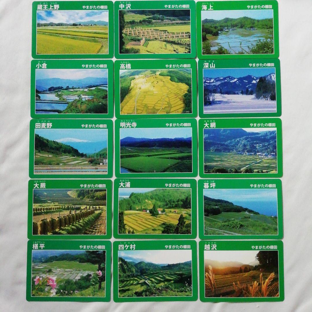 棚田カード　全15種セット　山形県◇やまがたの棚田　旧カード　四ヶ村　大蕨　越沢