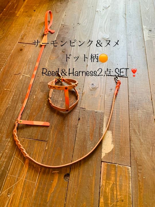 犬用リード＆ハーネスSET【本革】salmonping＆ヌメ革ツートン／ドット柄