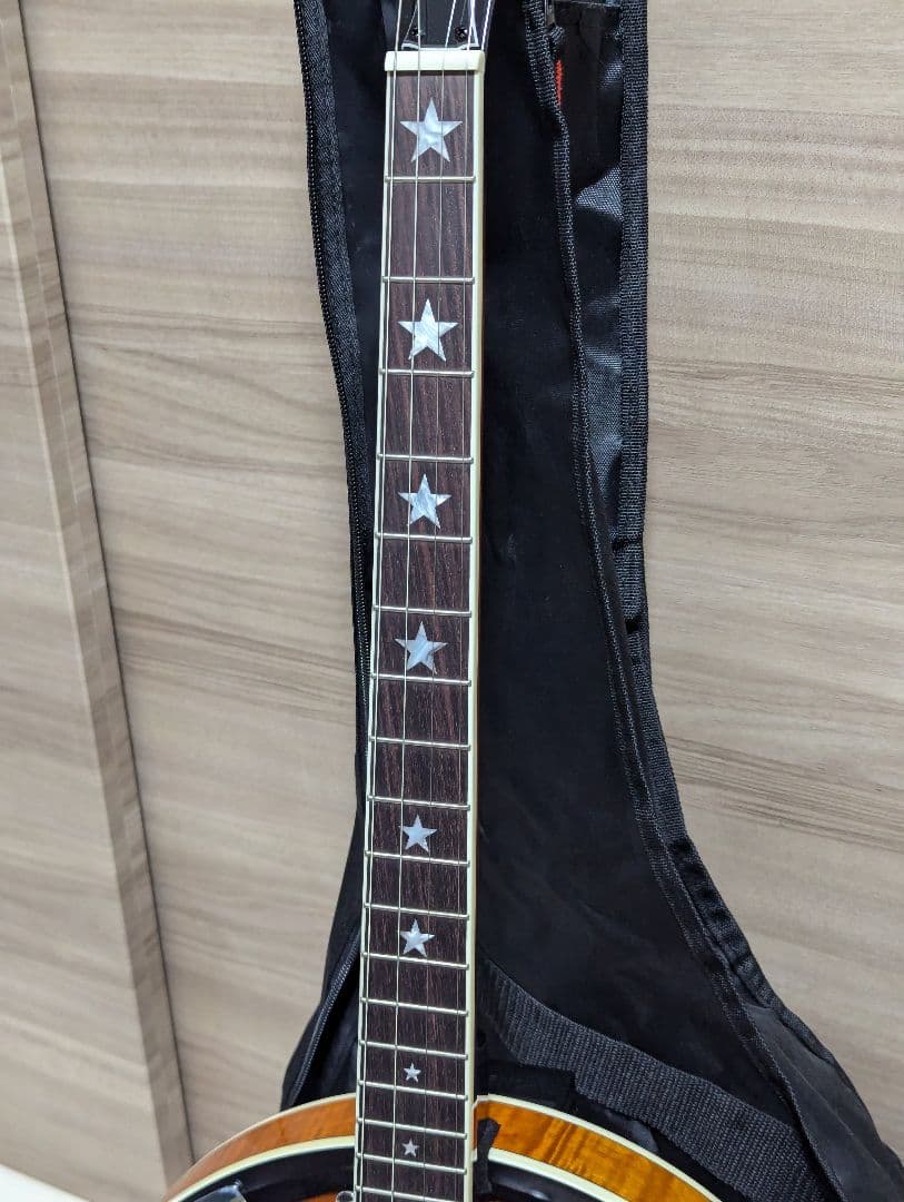 ほぼ未使用 SX BJ454VS テナーバンジョー ケース付き