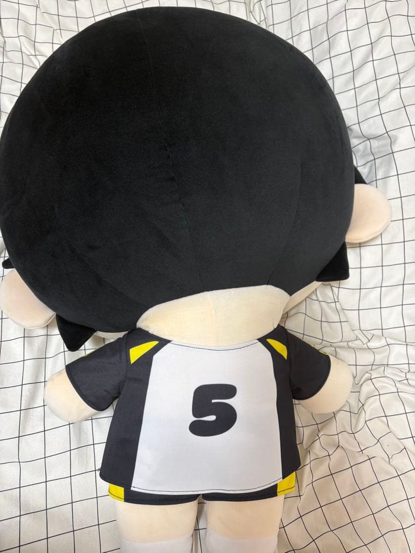 【限定】ハイキュー とってもおおきいにとたんぬいぐるみ 赤葦京治