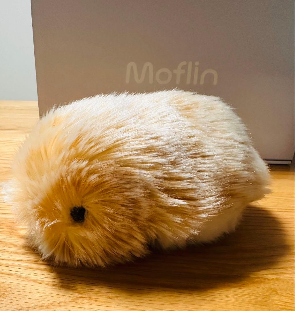 Moflin ゴールド