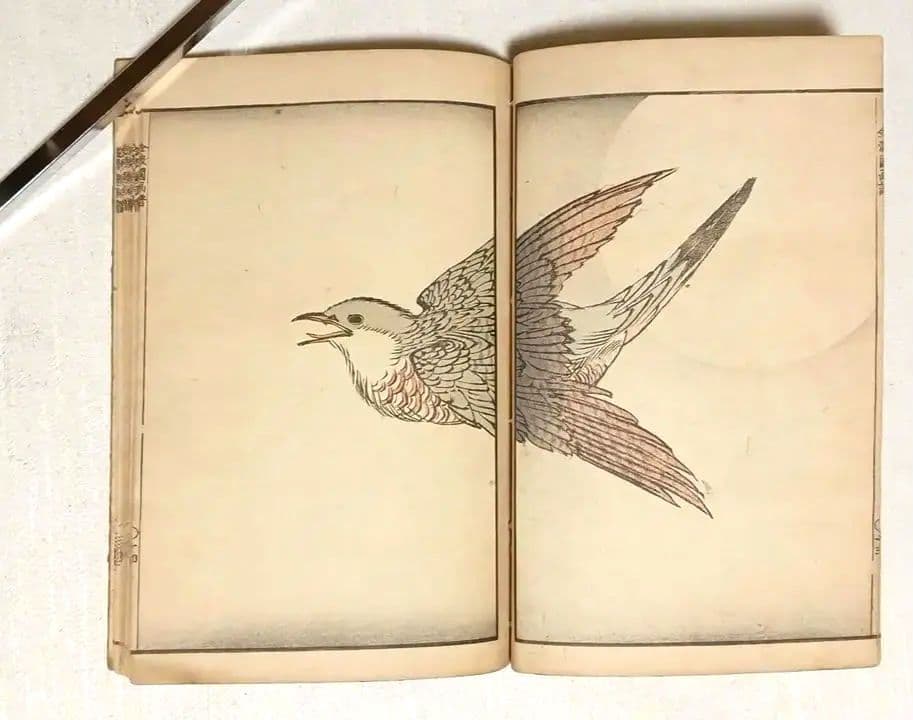 金波園画譜No.2（色刷り木版画本) 河村文鳳画、文化8年出版 - メルカリ