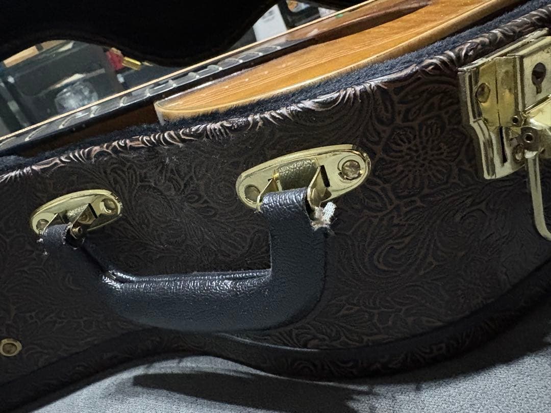 ルナ・ヴィスタ・イーグル アコースティック・エレクトリックギター