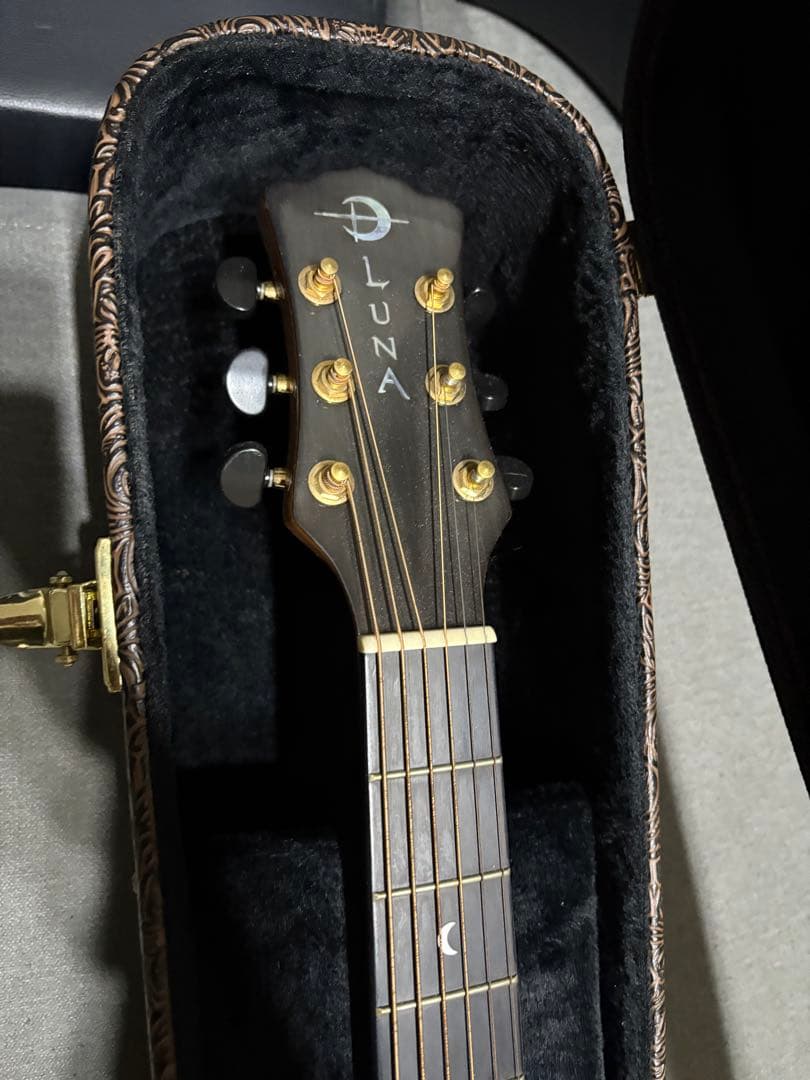 ルナ・ヴィスタ・イーグル アコースティック・エレクトリックギター