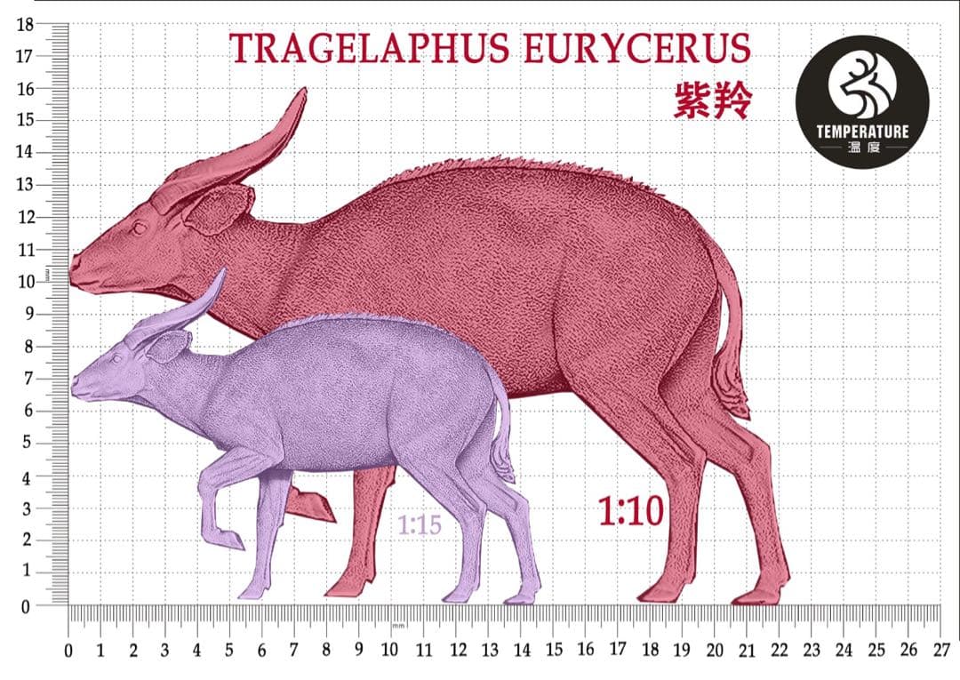 ※※オーダー商品です！ハンドメイド　ボンゴ