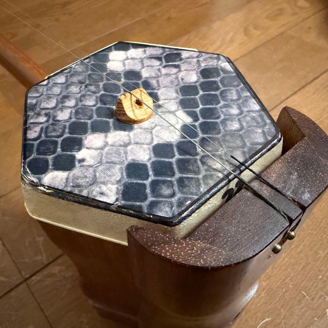 弦楽器 ニ胡 NK170 ケース付き