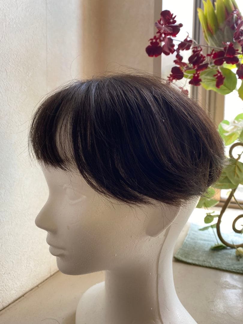 ジュリアオージェ(アートネーチャー)部分ウィッグ ショートボブ前髪あり