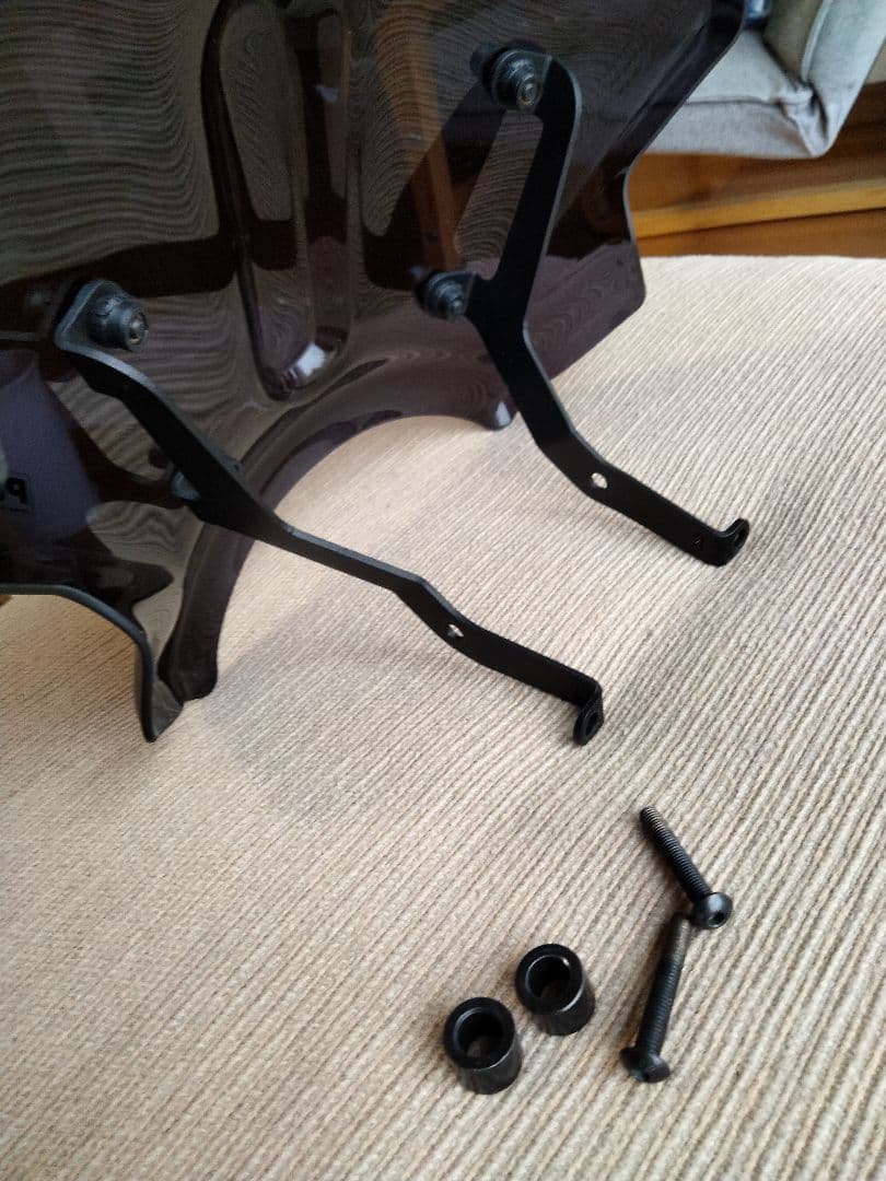 Puig シールド ダークスモーク　スヴァルトピレン401（2021年式に使用）