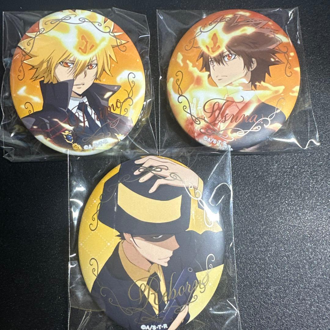 沢田綱吉 ボンゴレⅠ世 メタルカンバッジ リボーン 缶バッジ - メルカリ