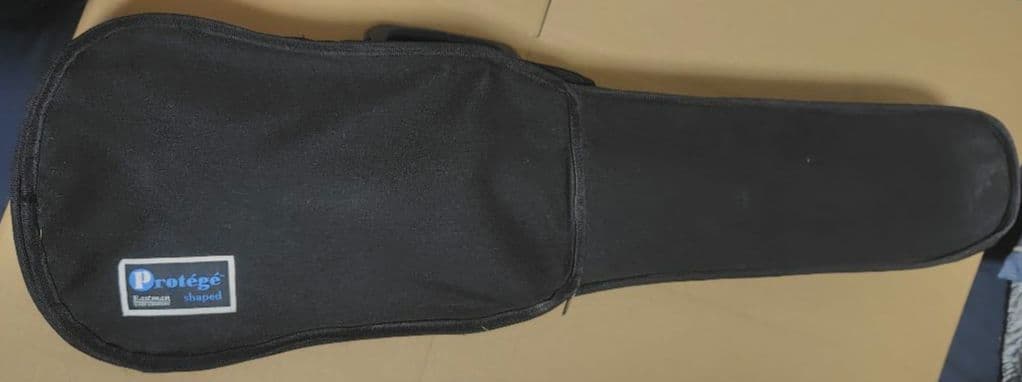 イーストマン　4/4 バイオリン本体　ケース付き 付属品あり