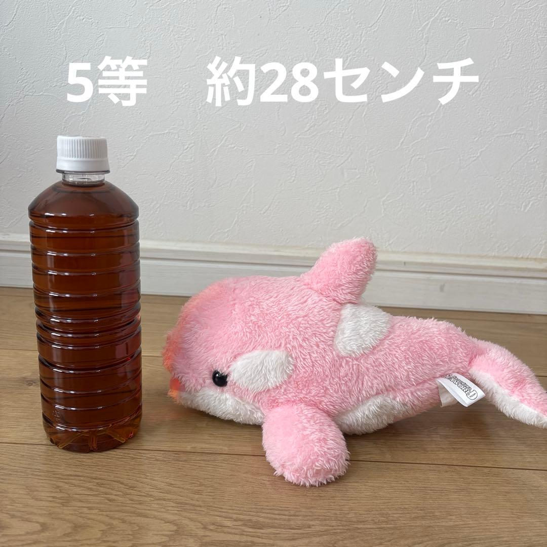 シャチ　ぬいぐるみ4体セット