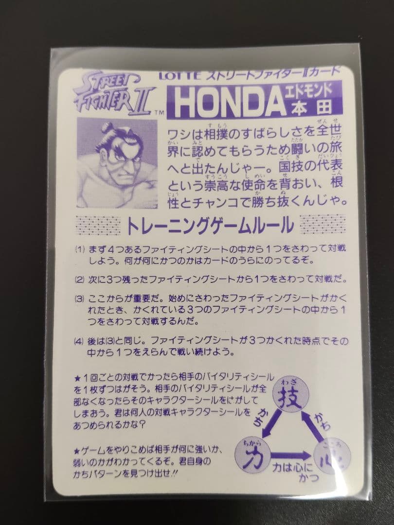 超希少 全12キャラ LOSE ver. ストリートファイター カード