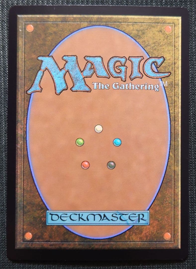 mtg 高騰中 日本語版 ボーダーレス 草萌ゆる玄関 FOIL mkm edh