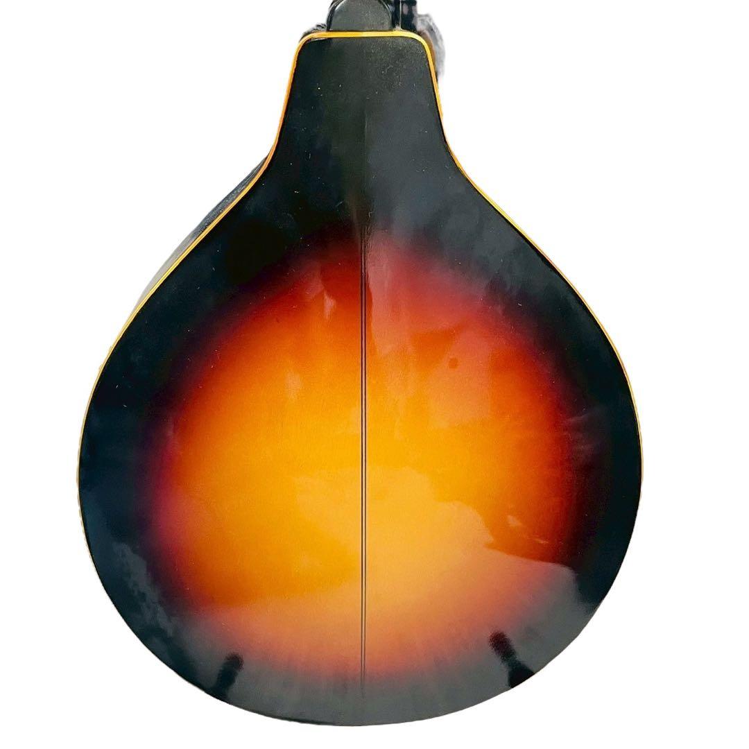 JUMBOマンドリン サンバースト ハードケース付き