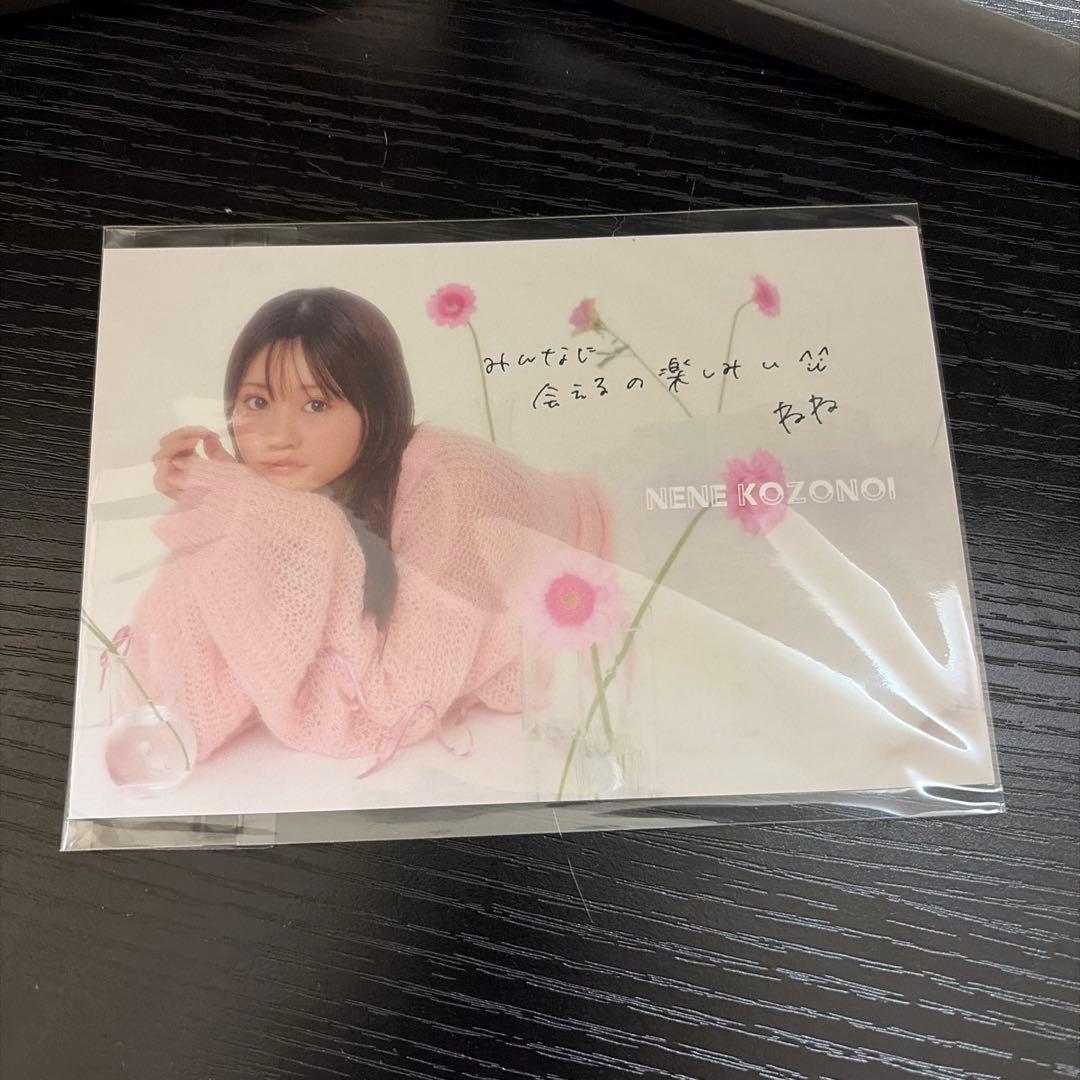 古園井寧々スタイルブック「ねねのおと」 発売記念ラッフルくじ　くじ