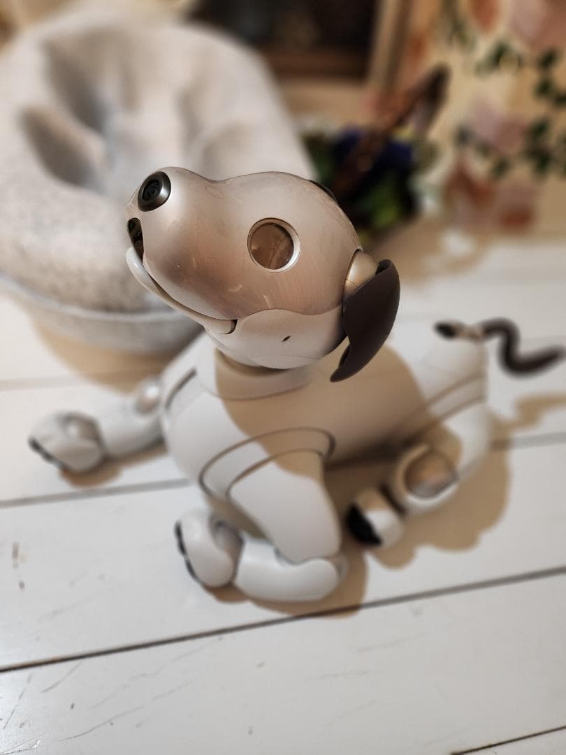 ソニーAIBO ERS-1000
