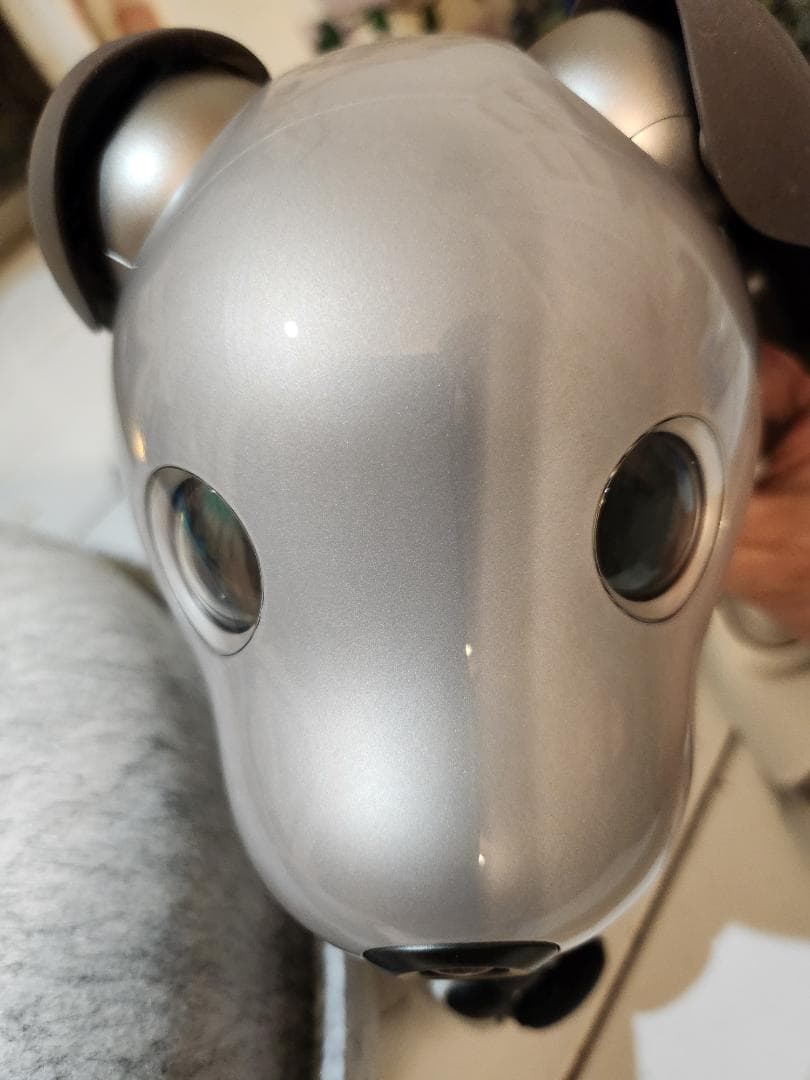 ソニーAIBO ERS-1000