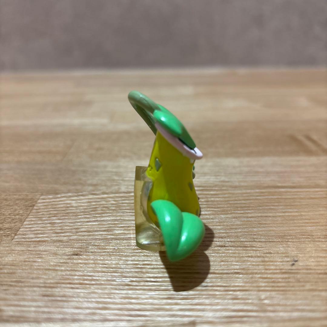 【廃盤/進化セット/極美品/激レア】 モンコレ　マダツボミ　ウツドン　ウツボット