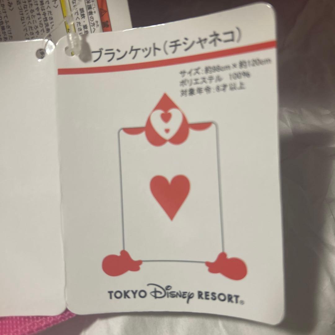 チェシャ猫ぬいぐるみ(リュック型)写真要確認