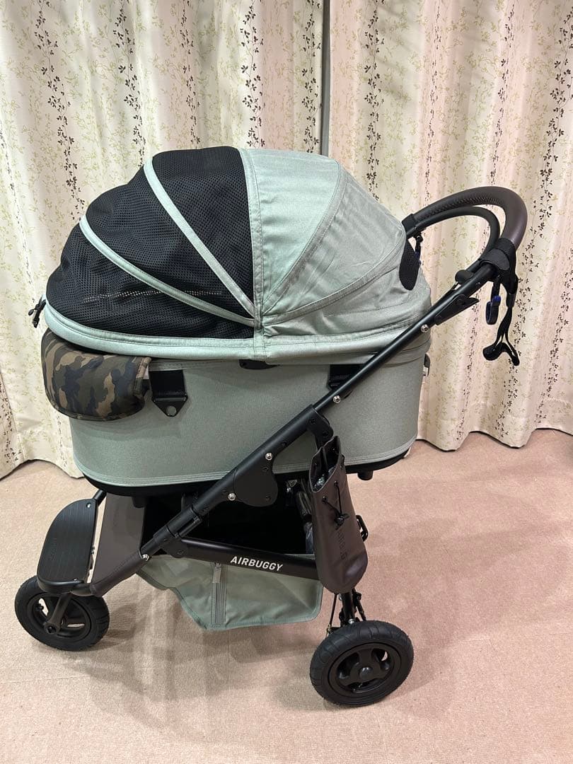 エアバギー グラスグリーンラージサイズカスタム済みアクセサリー付き