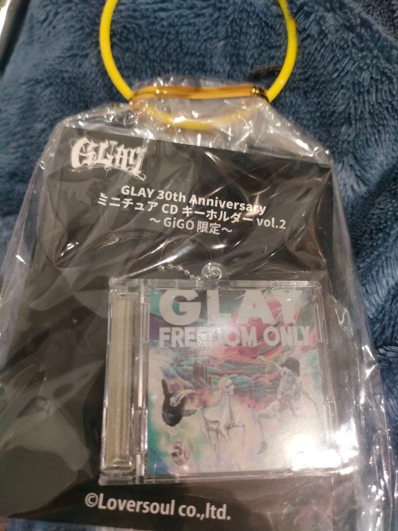 GIGO限定 GLAY 30th Anniversary11点セット