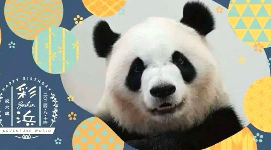 アドベンチャーワールド 彩浜バスタオル ★新品・未開封