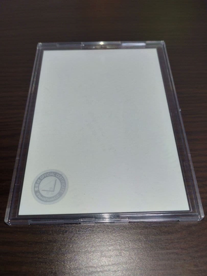 ニ*イ様 櫻坂46 的野美青 2024年 クリスマスサンタ衣装