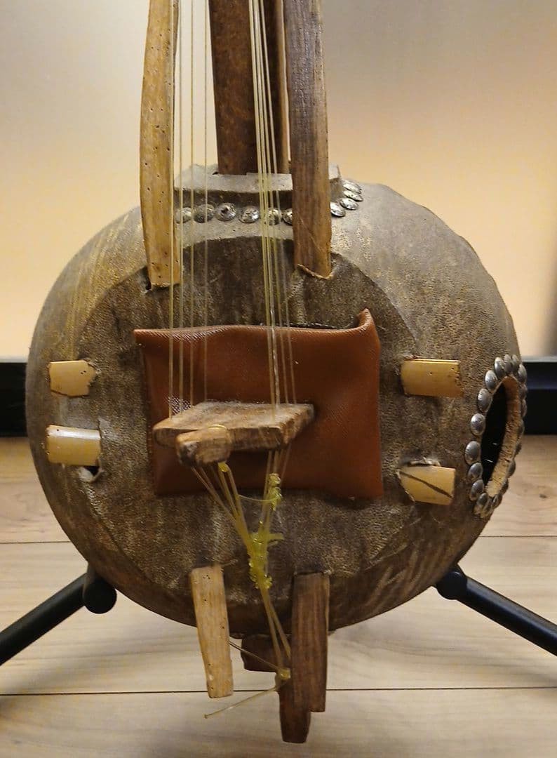 ンゴニ　西アフリカの伝統弦楽器