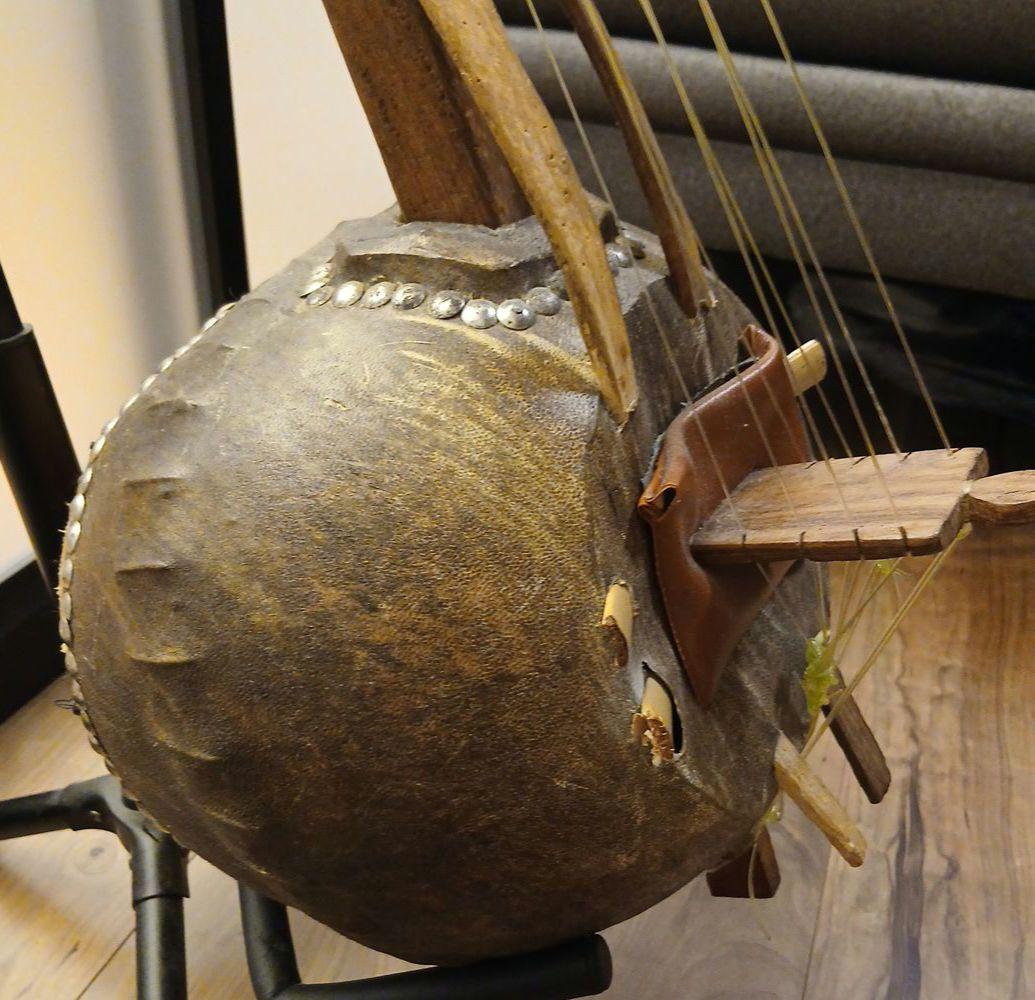 ンゴニ　西アフリカの伝統弦楽器