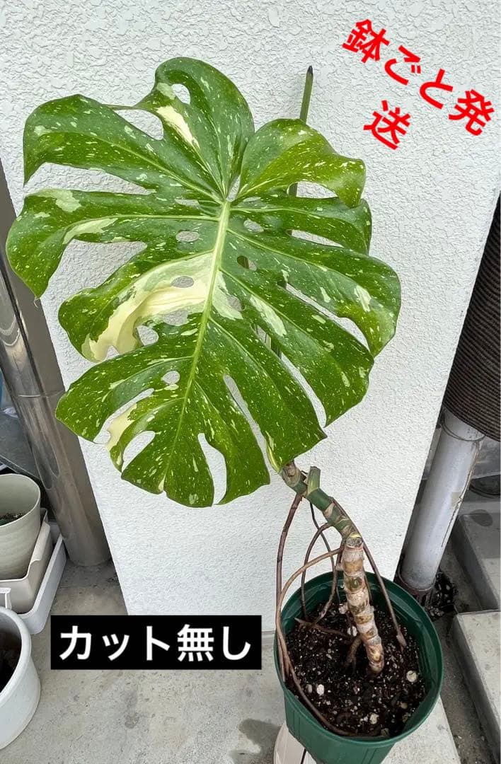 鉄道古物 国鉄郡山工場 プレート