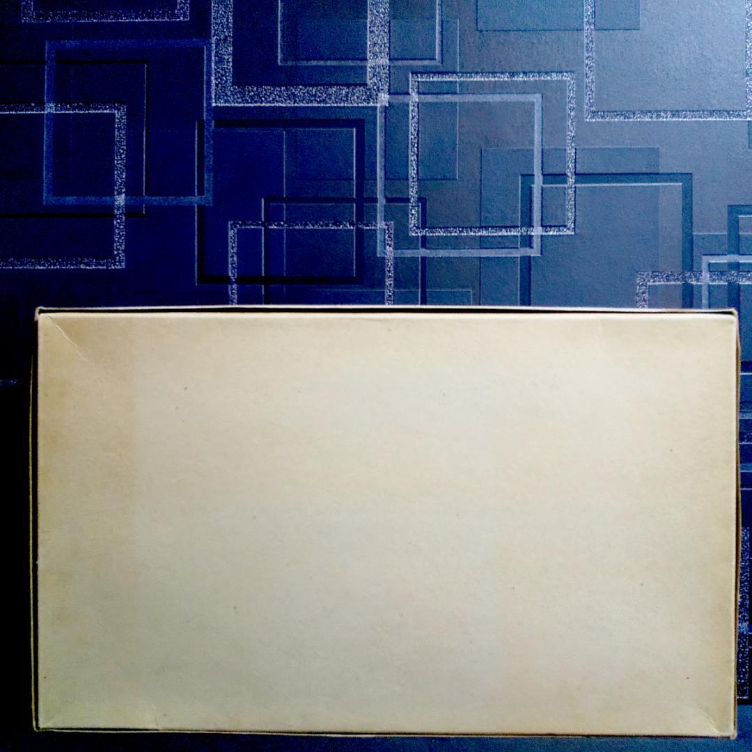 【当時物・未開封未組立・送料込】タカラ1/48 クラブガンナー 太陽の牙ダグラム