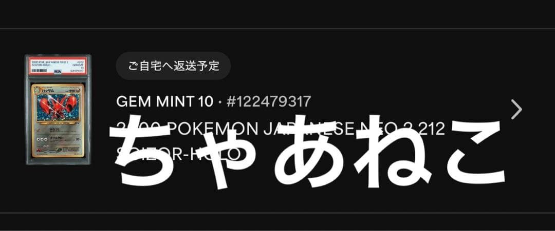 PSA10＊旧裏 ハッサム neo 遺跡をこえて 世界406枚 Scizor