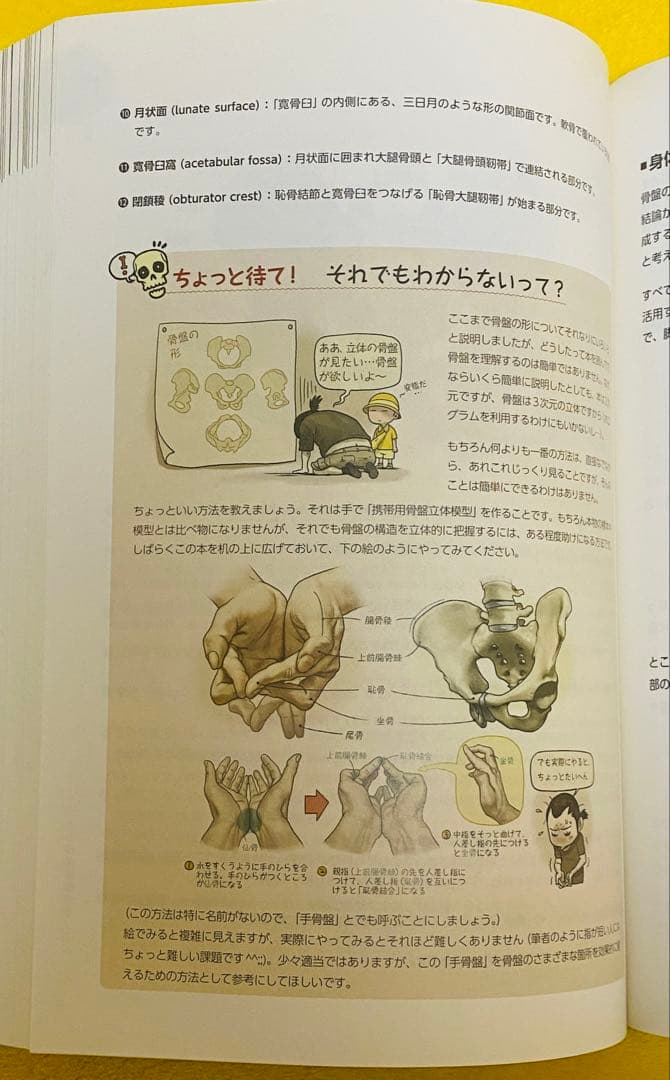 ソッカの美術解剖学ノート ソッカの美術解剖学ノート キムラッキの人体