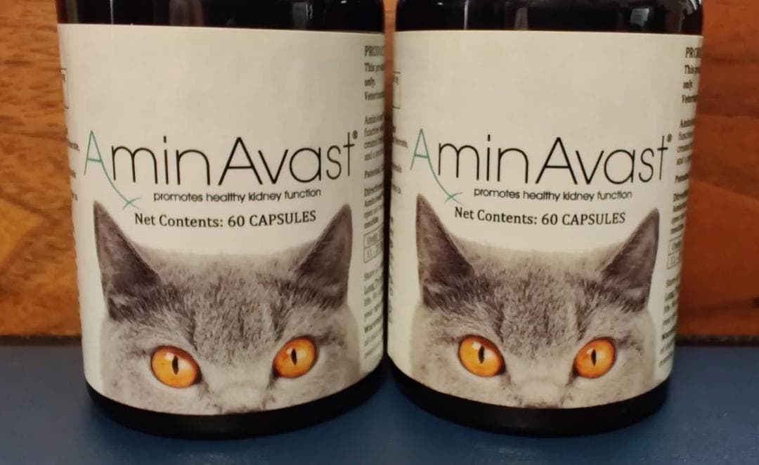 アミンアバスト 購入