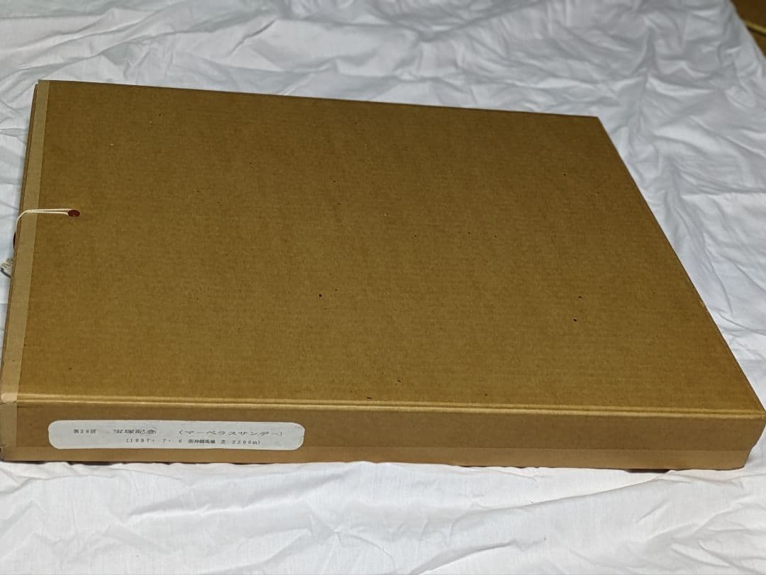 マーベラスサンデー 武豊 宝塚記念 競走馬パネル スポーツ新聞付き