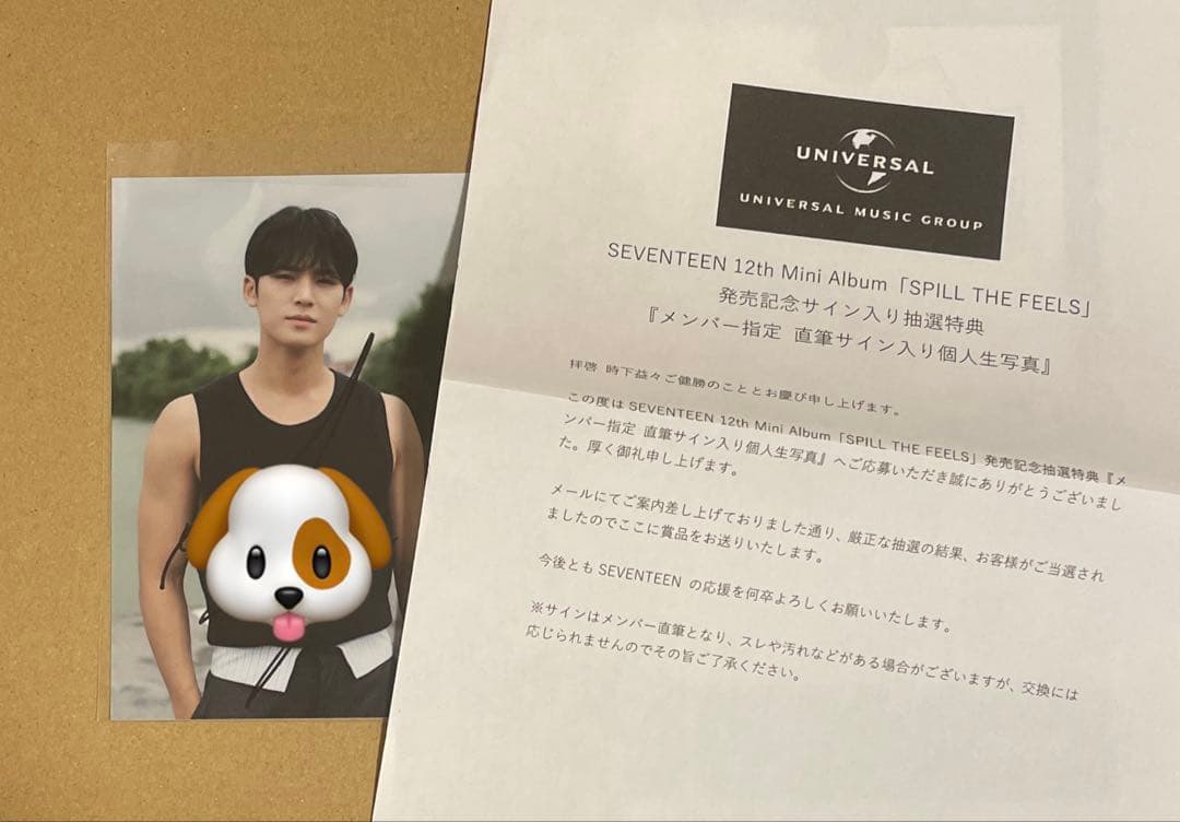ミンギュ SPILL THE FEELS 直筆サイン入り 生写真 Spill the feels直筆サイン入り生写真 セブチミンギュ mingyu Spill