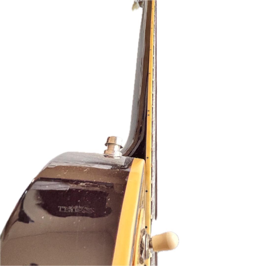 Maison レスポールタイプ エレキギター 弦新品、送料込み