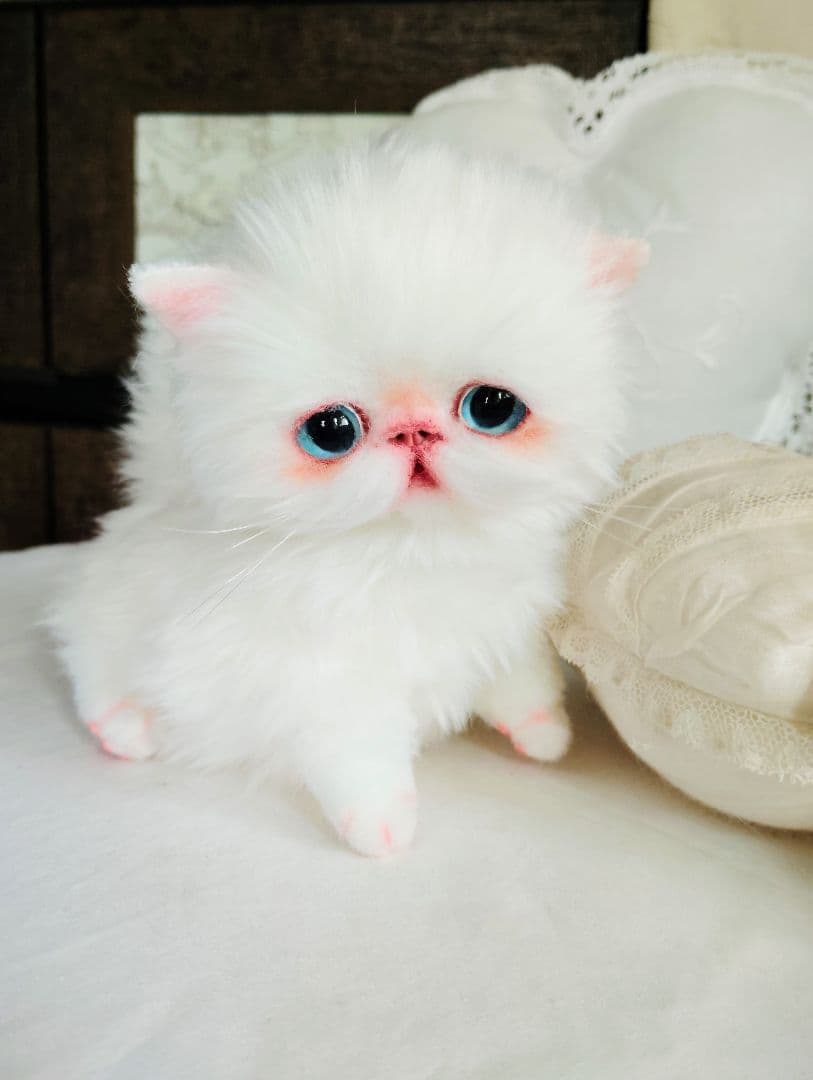 よちよち〜短足♡ころころボディ♡エキゾチック子猫ちゃん♡アート