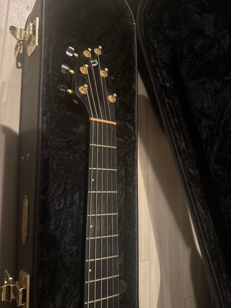 breedlove American c25 - メルカリ