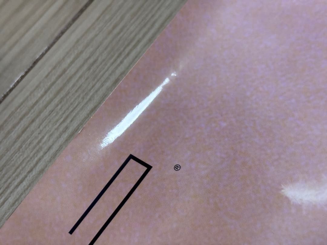 【超希少】ヴァルキリープロファイル　レナス　販促ポスターB2