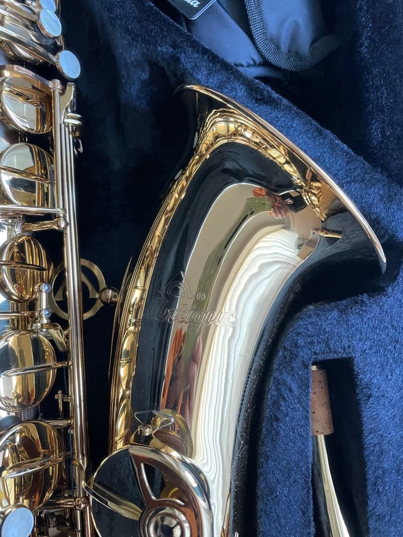 Antigua（アンティグア ） テナーサックス GL